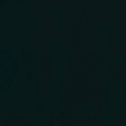 Водолей Пенал Best 35 R черный – фотография-2